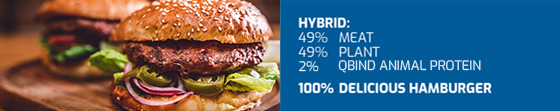 Hybrid meat burger recipe